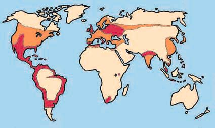 Världskarta: jordbruksregimer